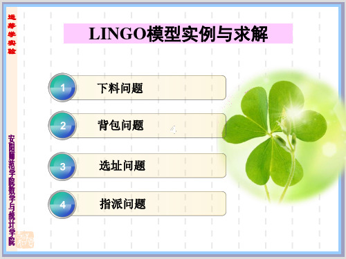 LINGO模型实例及求解分析