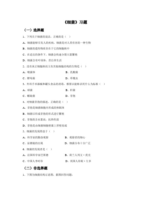 八年级生物人教版上册习题：5.4.2《细菌》习题2.doc