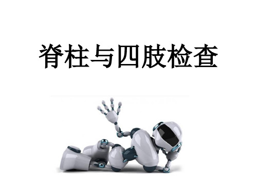 脊柱与四肢检查(本科教学)