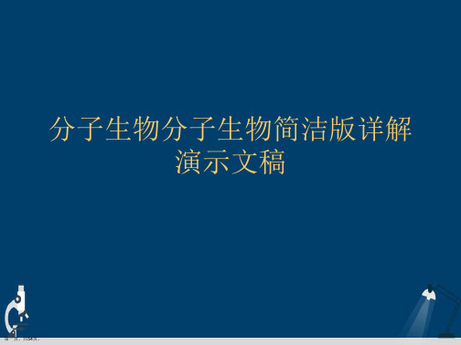 分子生物分子生物简洁版详解演示文稿