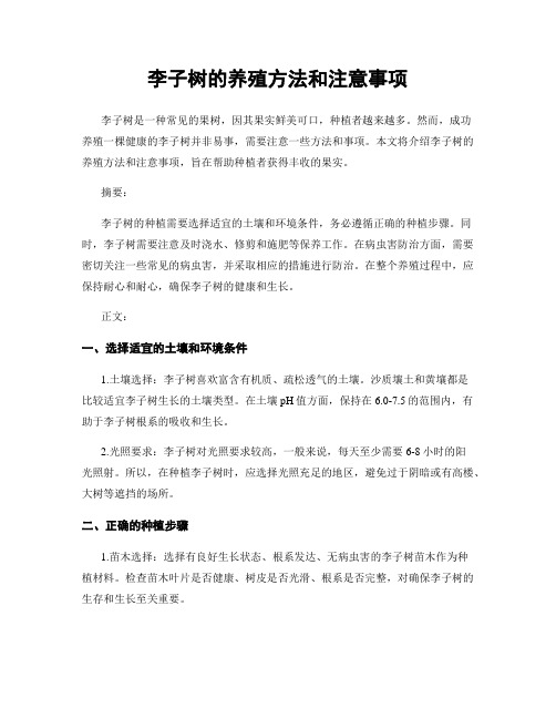 李子树的养殖方法和注意事项