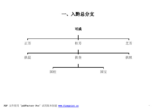 贵州普定补郎上寨鄢氏族谱人丁吊图