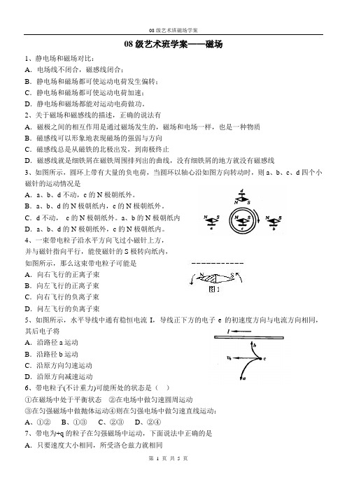 磁场艺术班学案