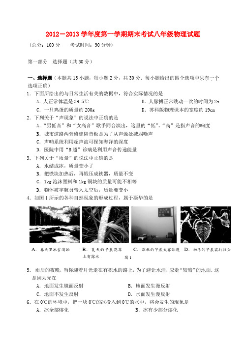 江苏省姜堰市八年级物理上学期期末考试试题 苏科版1