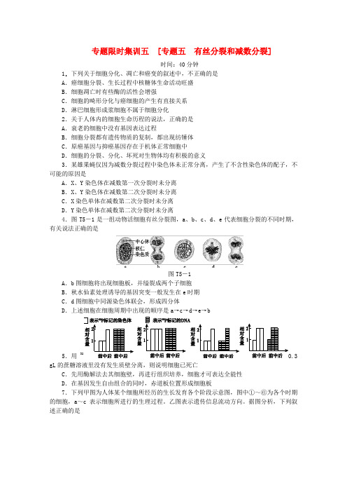 浙江省2022高考生物二轮复习专题限时集训(五) 专题五 有丝分裂和减数分裂配套作业