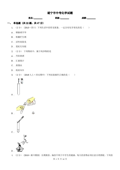 遂宁市中考化学试题 