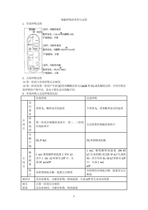 细胞呼吸的类型与过程