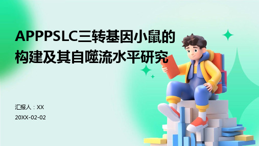 APPPSLC三转基因小鼠的构建及其自噬流水平研究