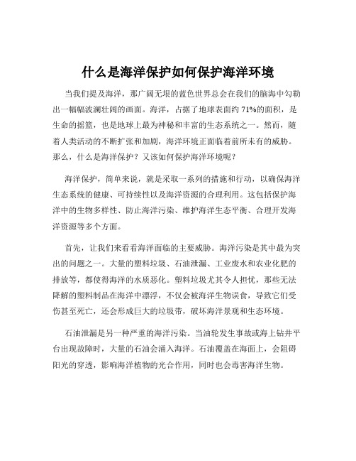 什么是海洋保护如何保护海洋环境