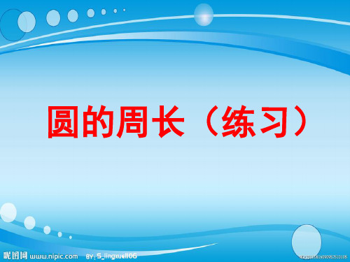 圆的周长计算练习题