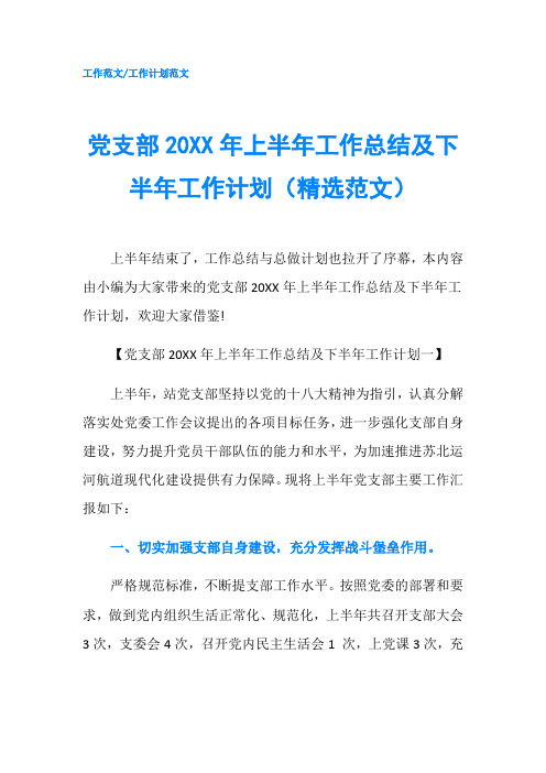 党支部20XX年上半年工作总结及下半年工作计划(精选范文)