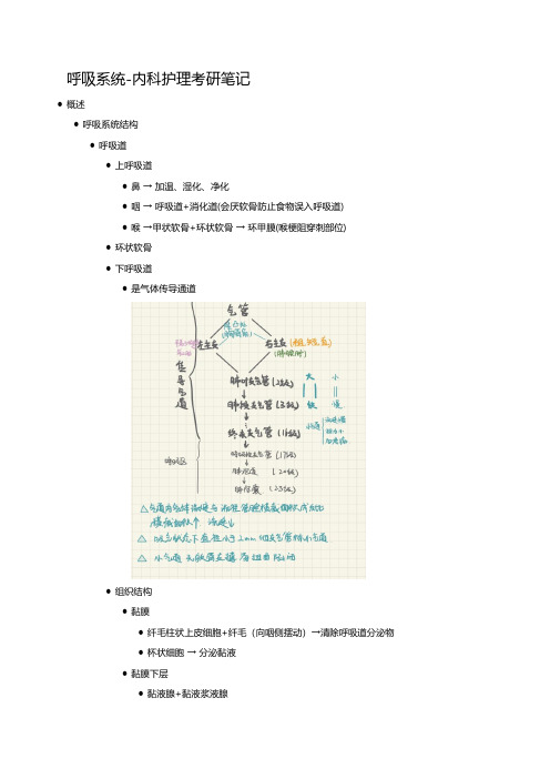 呼吸系统-内科护理考研笔记