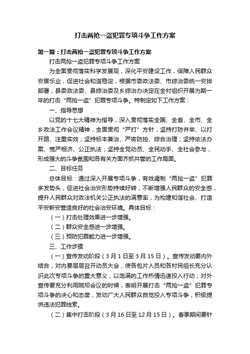 打击两抢一盗犯罪专项斗争工作方案