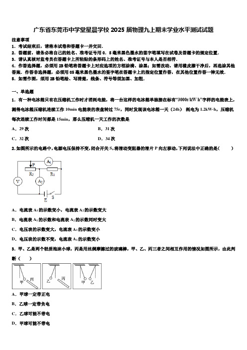 广东省东莞市中学堂星晨学校2025届物理九上期末学业水平测试试题含解析