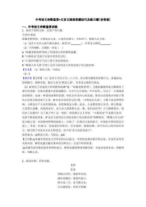 中考语文诗歌鉴赏+文言文阅读答题技巧及练习题(含答案)