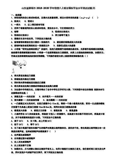 山东省聊城市2019-2020学年物理八上期末模拟学业水平测试试题(3)