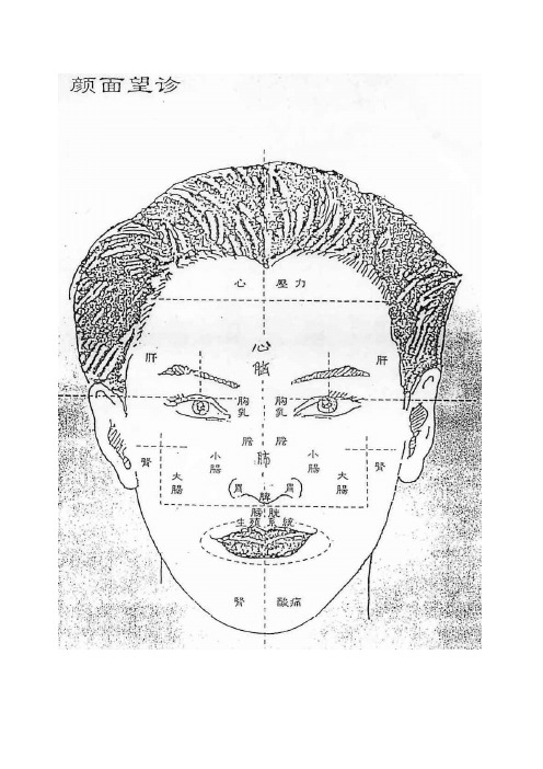 十二经络在人体面部所反映病状