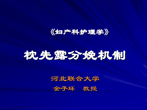 枕先露分娩机制河北联合大学护理学实验教学示范中心