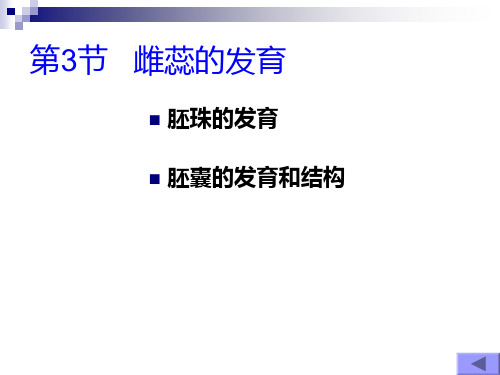 雌蕊的发育开花、传粉和受精ppt课件