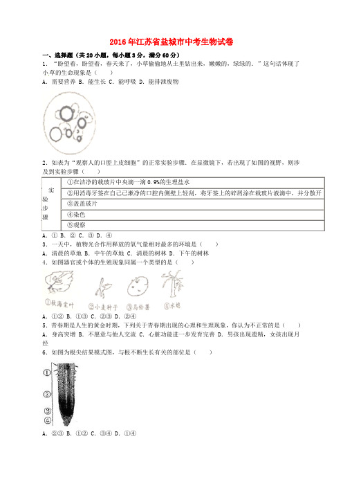 江苏省盐城市2016年中考生物真题试题(含解析)