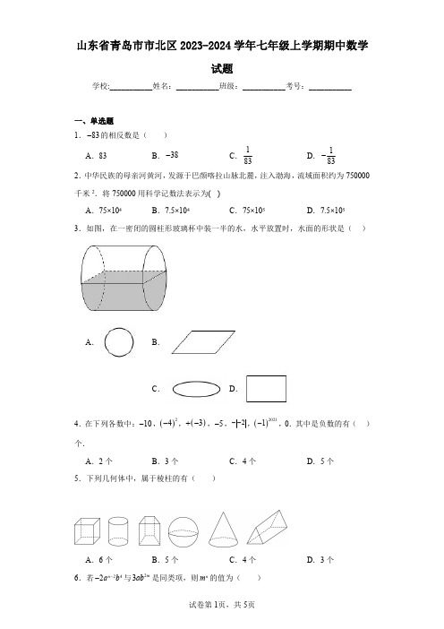 山东省青岛市市北区2023-2024学年七年级上学期期中数学试题