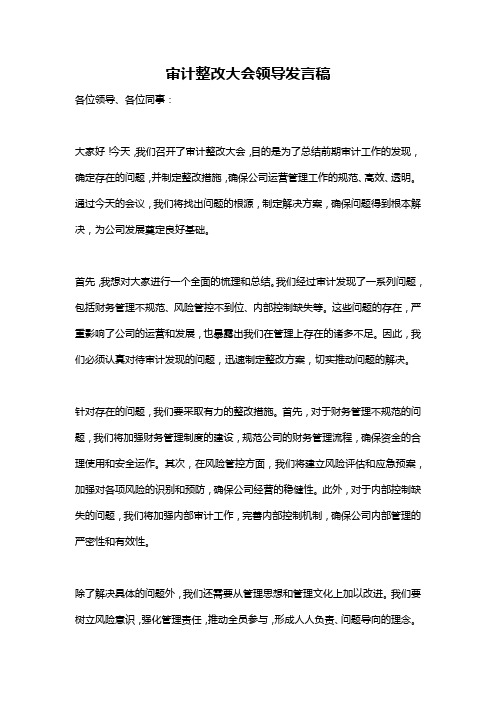 审计整改大会领导发言稿