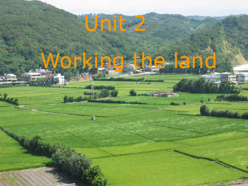 高中英语-Unit_2Working_the_landAlMwqU