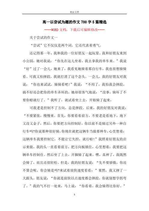 高一以尝试为题的作文700字5篇精选