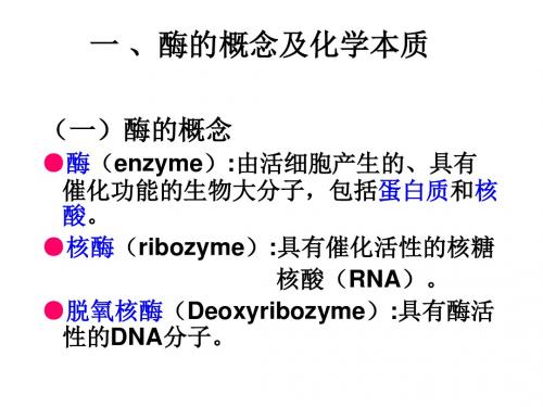 生物化学第三章  酶