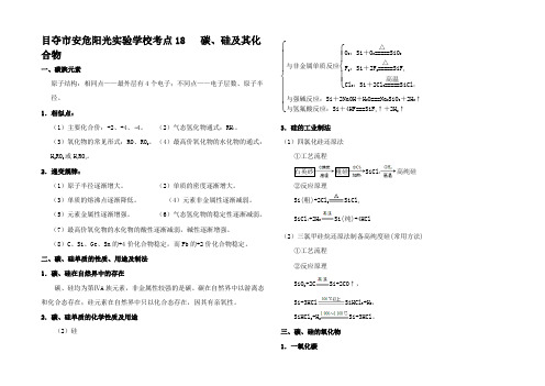 高考化学遍过考点 碳硅及其化合物(含解析)试题