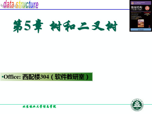 北京林业大学《数据结构与算法》课件PPT 第5章 树和二叉树