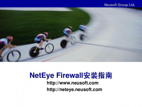 东软防火墙 NetEye FW 安装