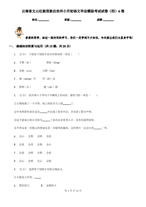 云南省文山壮族苗族自治州小升初语文毕业模拟考试试卷(四)A卷