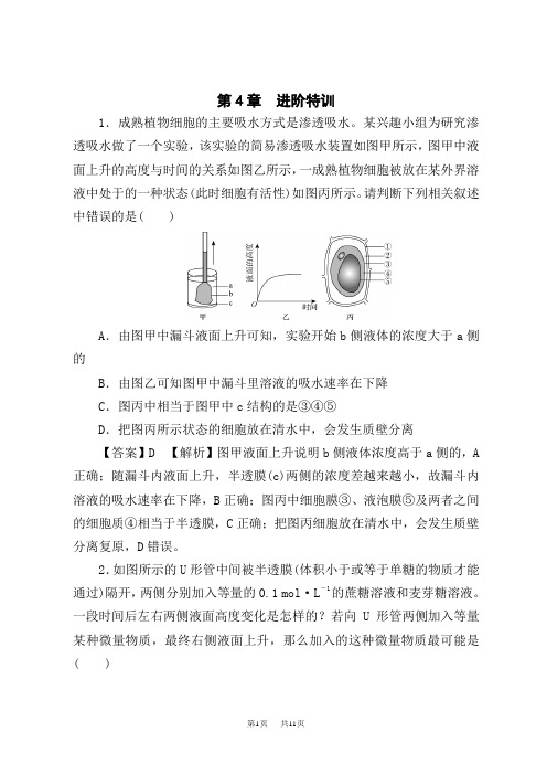 人教版高中生物必修第1册第4章 进阶特训