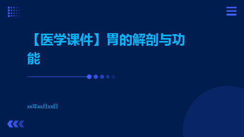 【医学课件】胃的解剖与功能