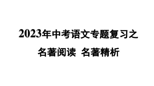 2023年中考语文专题复习之名著阅读  名著精析 - 十《水浒传》