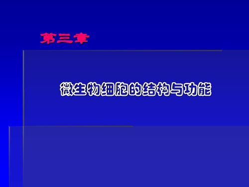 微生物细胞的结构与功能第三章