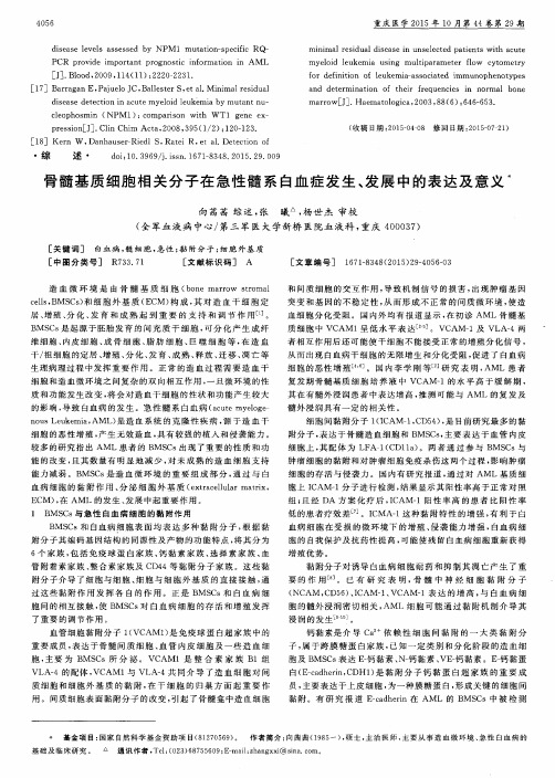 骨髓基质细胞相关分子在急性髓系白血症发生、发展中的表达及意义