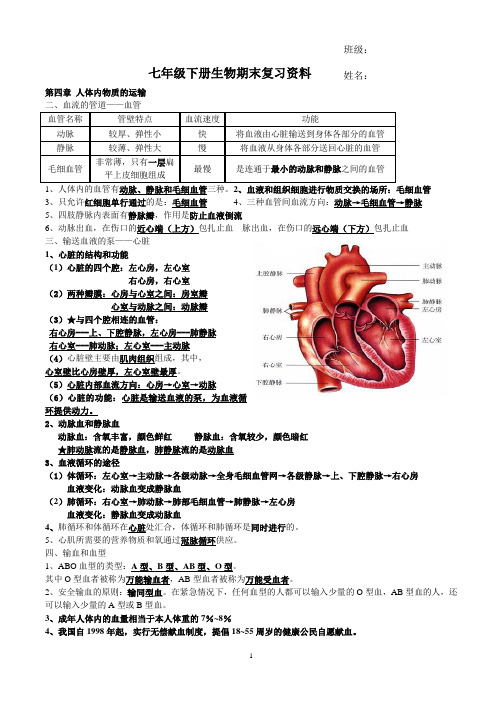 七年级下册期末复习提纲