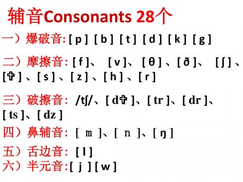 5鼻音舌侧音半元音及元辅音整体复习剖析.