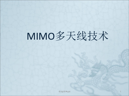 MIMO技术ppt课件