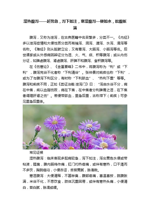 湿热腹泻——起势急，泻下如注，寒湿腹泻—便如水，脘腹胀满