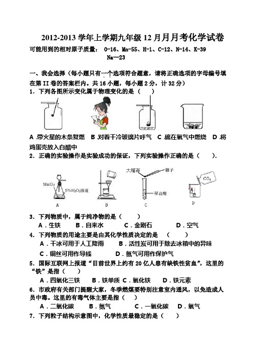 2012-2013学年上学期九年级12月月月考化学试卷