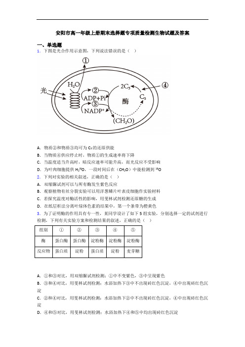 安阳市高一年级上册期末选择题专项质量检测生物试题及答案