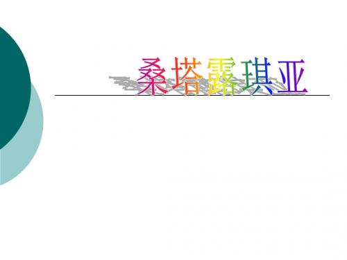 《桑塔露琪亚》课件1
