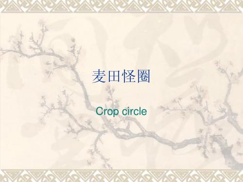麦田怪圈