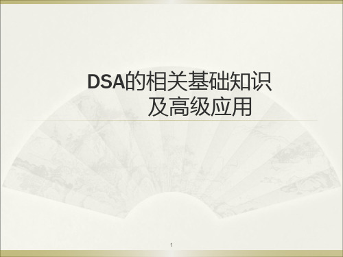 DSA的基本原理及运用PPT演示课件