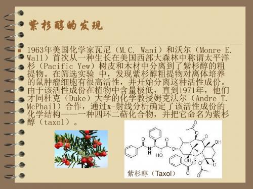 紫杉醇的全合成