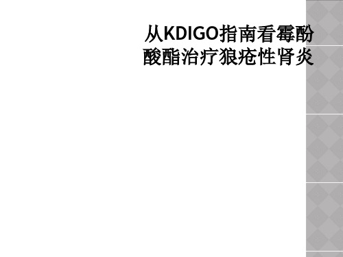 从KDIGO指南看霉酚酸酯治疗狼疮性肾炎