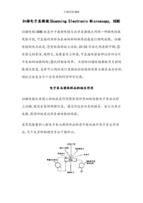 扫描电镜SEM